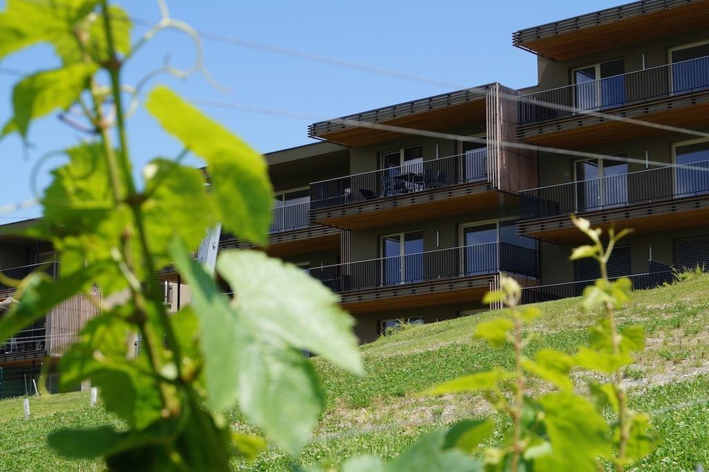 Relax Residence Suedsteiermark Ehrenhausen Δωμάτιο φωτογραφία